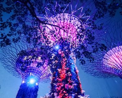 Сингапур, круиз до Тайланд и Малайзия, почивка в Бали 26.01.2026