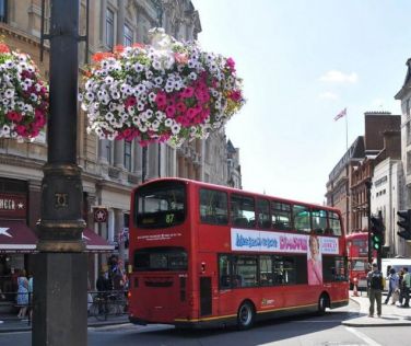 Категория A