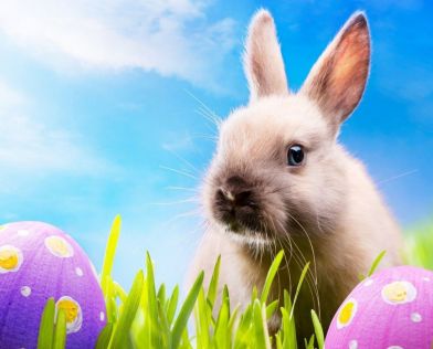 Почивка в ИСПАНИЯ - Великден на Коста дел Сол