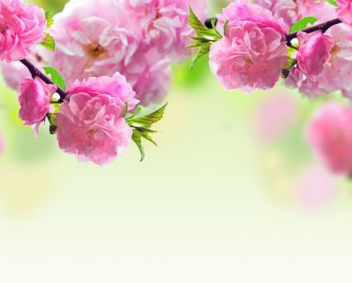 Майски празници - Палма де Майорка