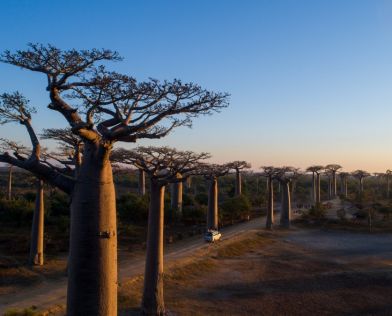 Екскурзия в МАДАГАСКАР - Уникалните пейзажи и дивата природа на Мадагаскар!