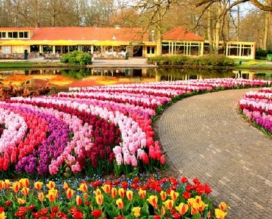 Великден в Истанбул, Турция - Фестивал на лалетата с автобус от Русе и Велико Търново - 3 нощувки