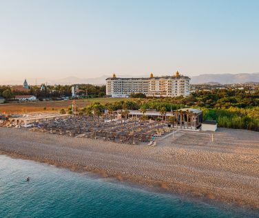 ASTERIA BLOOM SIDE (EX.HEAVEN BEACH)