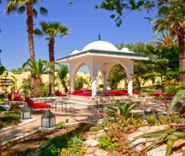 SIMBA CLUB - Samira Club Standard