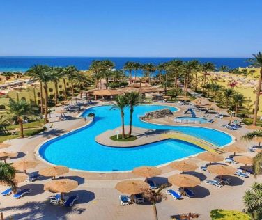 Palm Beach Resort Standard