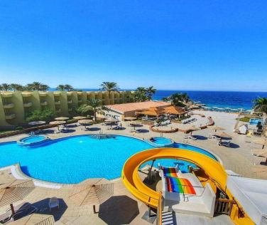 Palm Beach Resort Standard